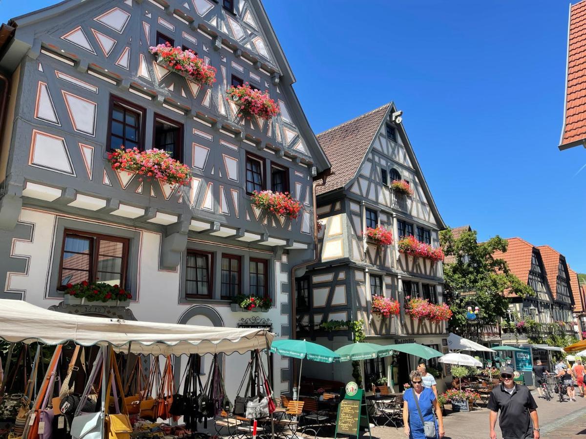 Gaestehaus Klingler Besigheim Exterior photo